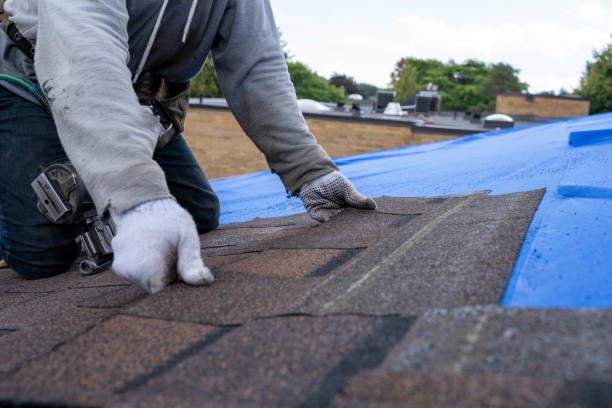 Roof Gutter Cleaning in Arcade, GA
